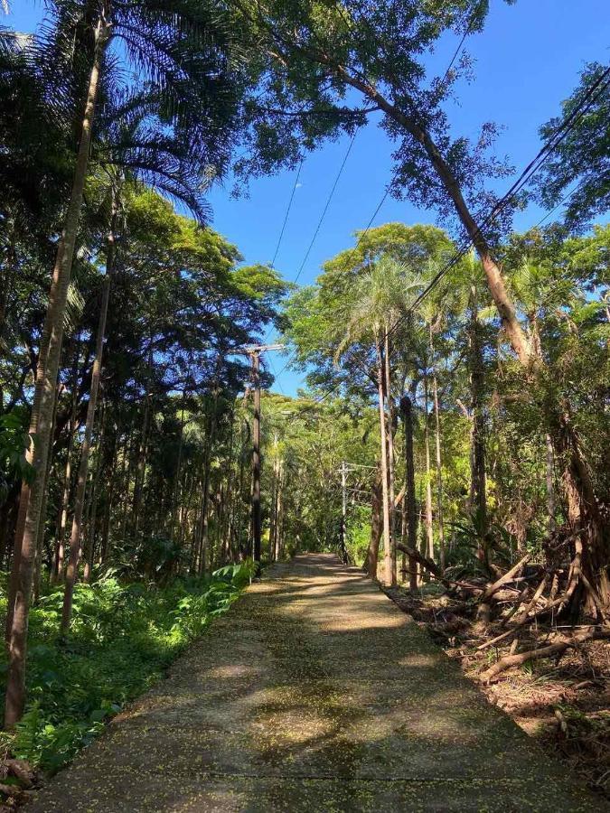Momarco Forest Cove Tanay Extérieur photo
