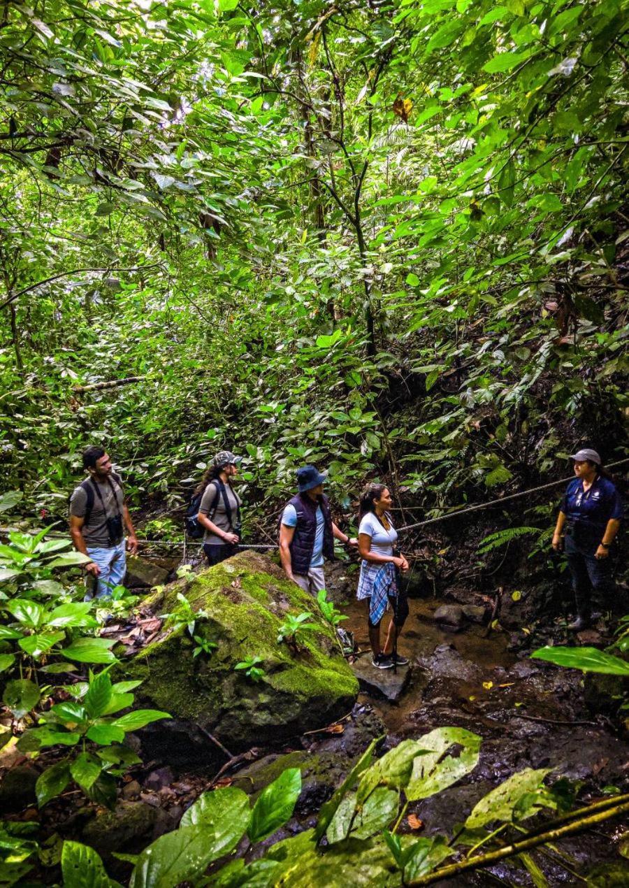 Momarco Forest Cove Tanay Extérieur photo
