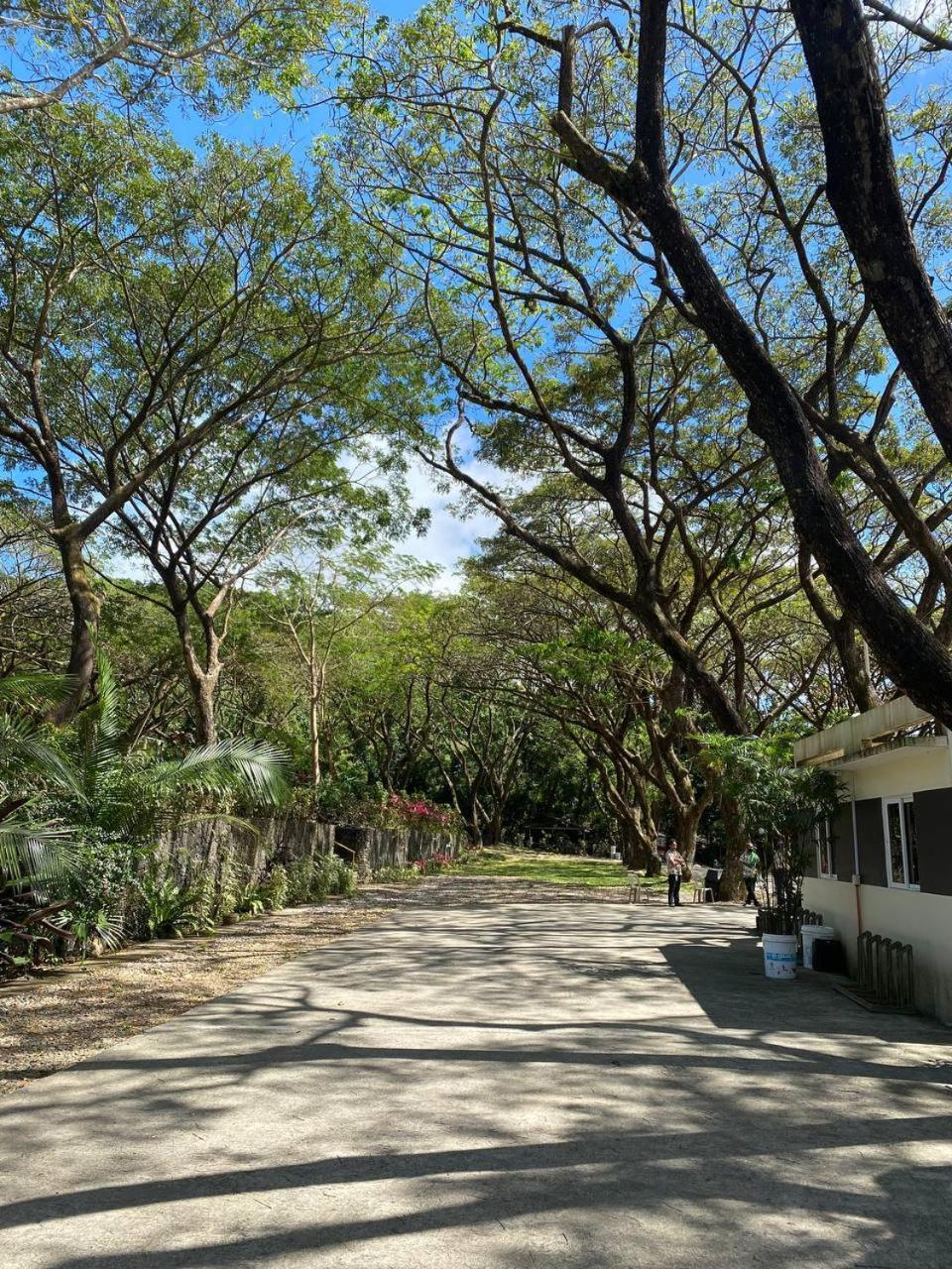 Momarco Forest Cove Tanay Extérieur photo